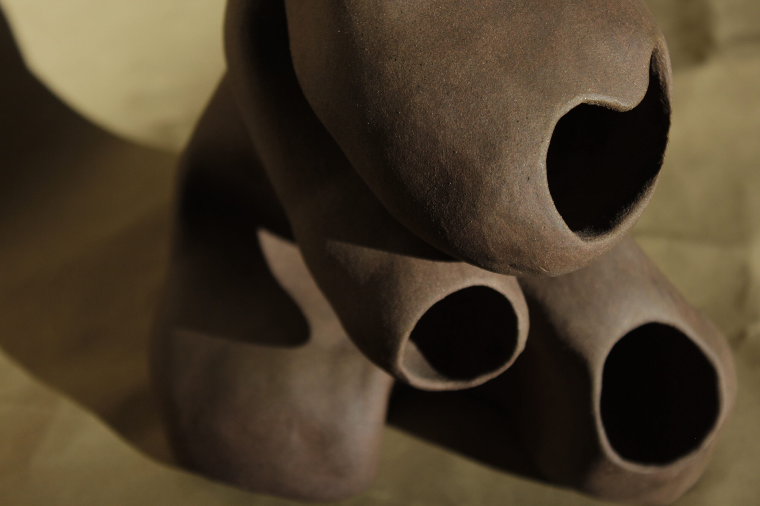 ojos_"surcos" collection - Imagen 7