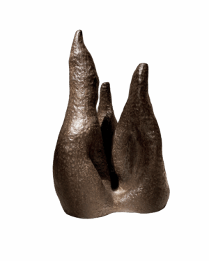 cárcavas_"surcos" collection