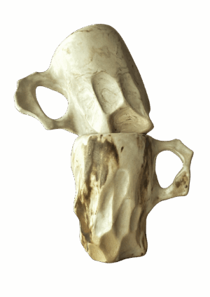 conjunto 2 tazas (S/M/L)