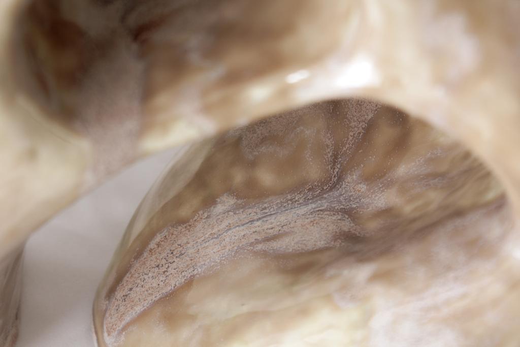 jarrón 3_serie "holes" - Imagen 4