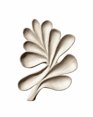 plato nº1_vol.01_serie "natura structure"