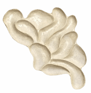 plato nº2_vol.02_serie "natura structure"