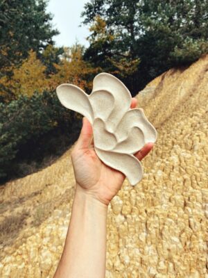 plato nº2_vol.02_serie "natura structure"