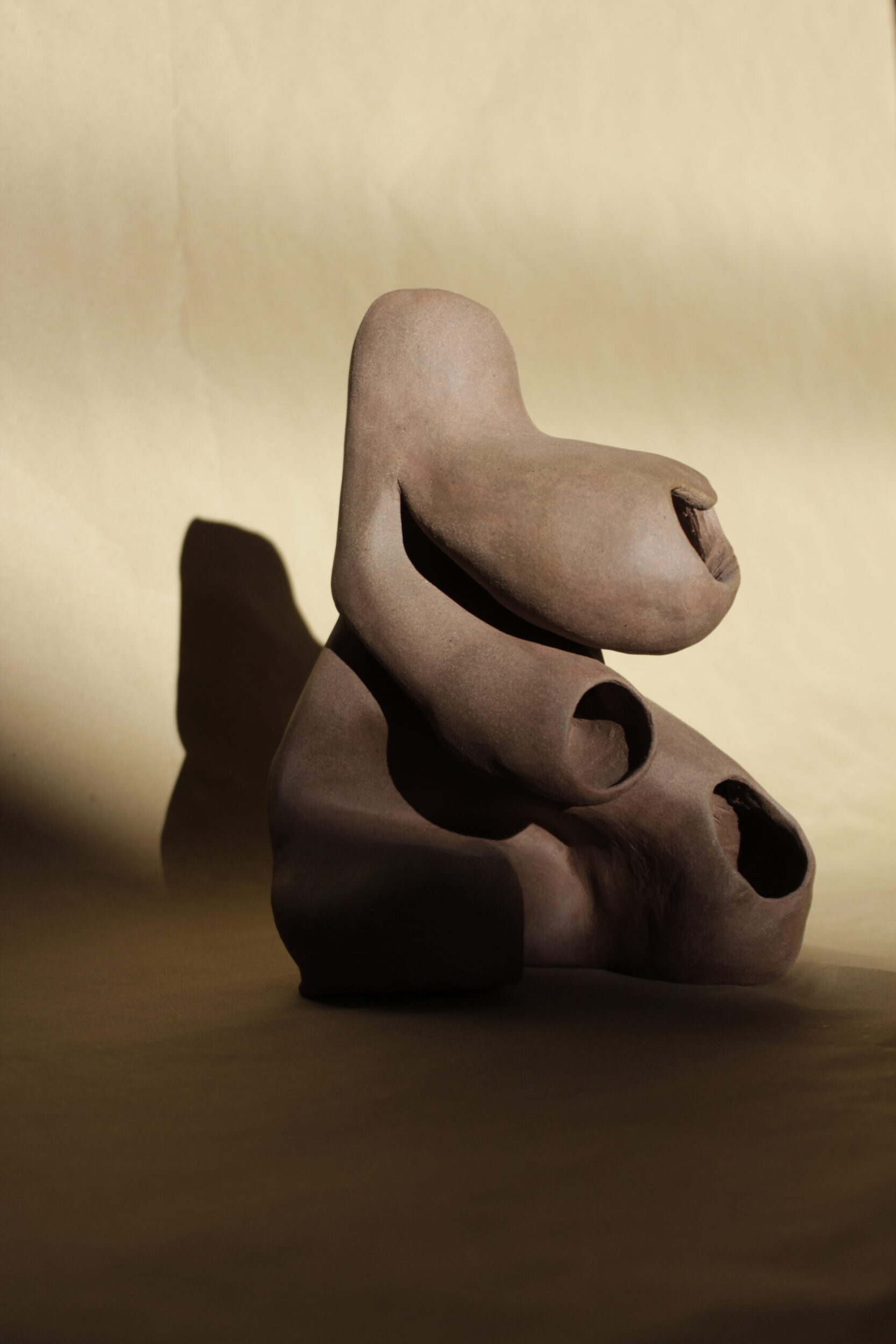 ojos_"surcos" collection - Imagen 4