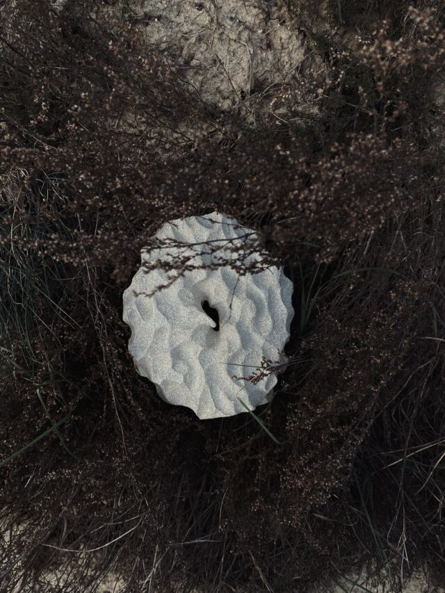 • K  A  V  U  S •

Jarrón 1 (no disponible)

Más fotos de esta primera pieza jarrón de Kavus.

Pronto veréis un segundo jarrón de esta colección que sí estará disponible 

#ceramics #handmade #ceramic #ceramicart #ceramica #artesanía #experimentalart #alineaceramics #organicshapes #art #shadowart #alternative #alternativeart #darkside #darkness #cueva #cave #vase #ceramicvase #ceramicvases #vasedesign #vaseart