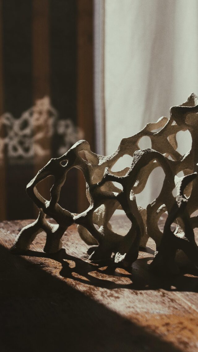 🕯️Candelabros “Raíces” y “Kavus”🕯️

Pronto disponibles en web 🖤 

#ceramics #handmade #ceramic #ceramicart #cerámica #artesanía #experimentalart #alineaceramics #organicshapes #art #shadowart #alternative #alternativeart #darkside #darkness #candles #candle #candlemaking #candlelover #candleholder #candleholders #candleholderdesign #candlelight